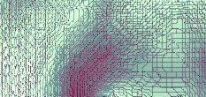 magen darm virus